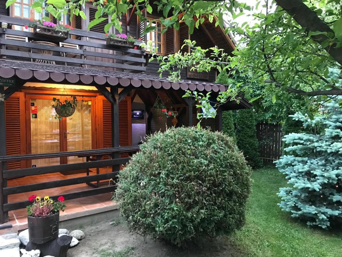 Гостевой дом Vila Milenium Residence Bran Бран-23