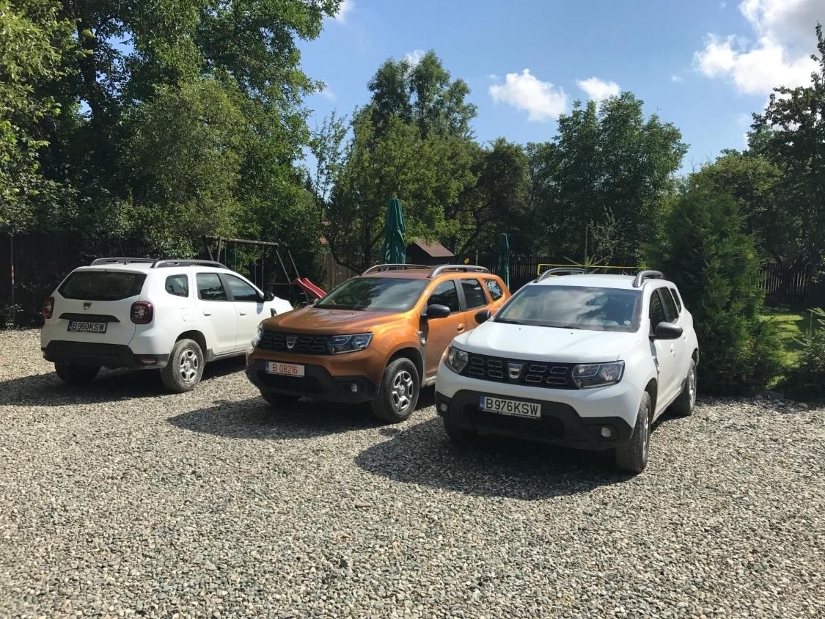Гостевой дом Vila Milenium Residence Bran Бран-48