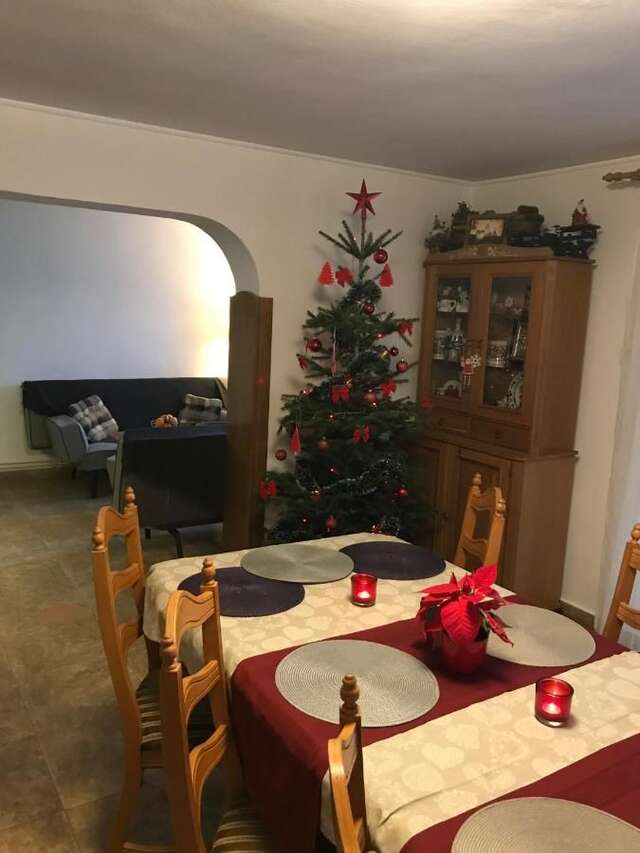 Гостевой дом Vila Milenium Residence Bran Бран-32