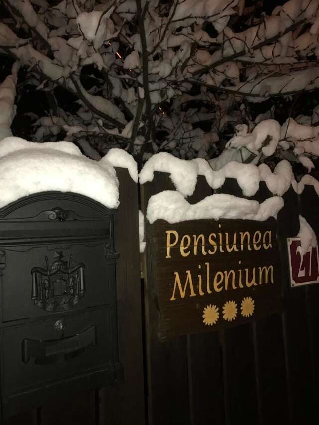 Гостевой дом Vila Milenium Residence Bran Бран-36