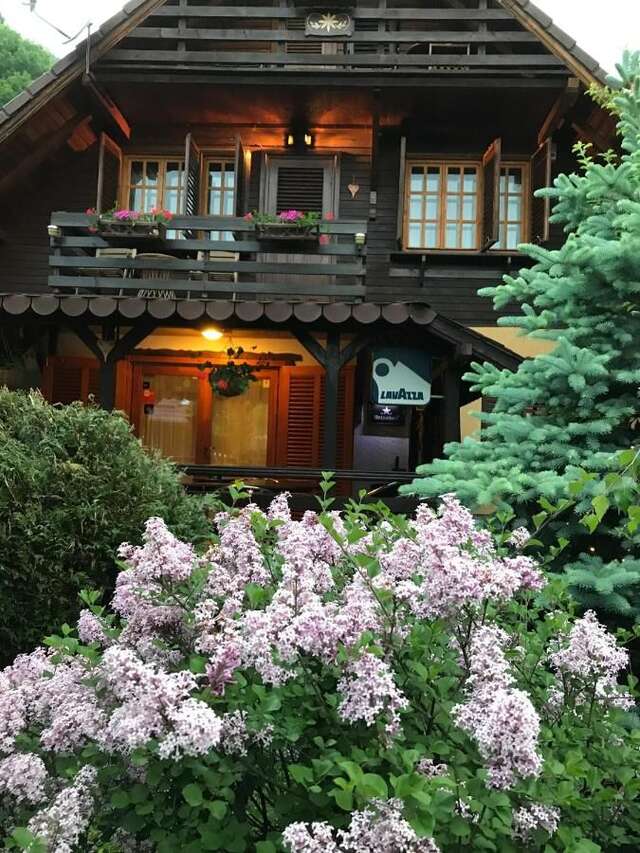 Гостевой дом Vila Milenium Residence Bran Бран-44